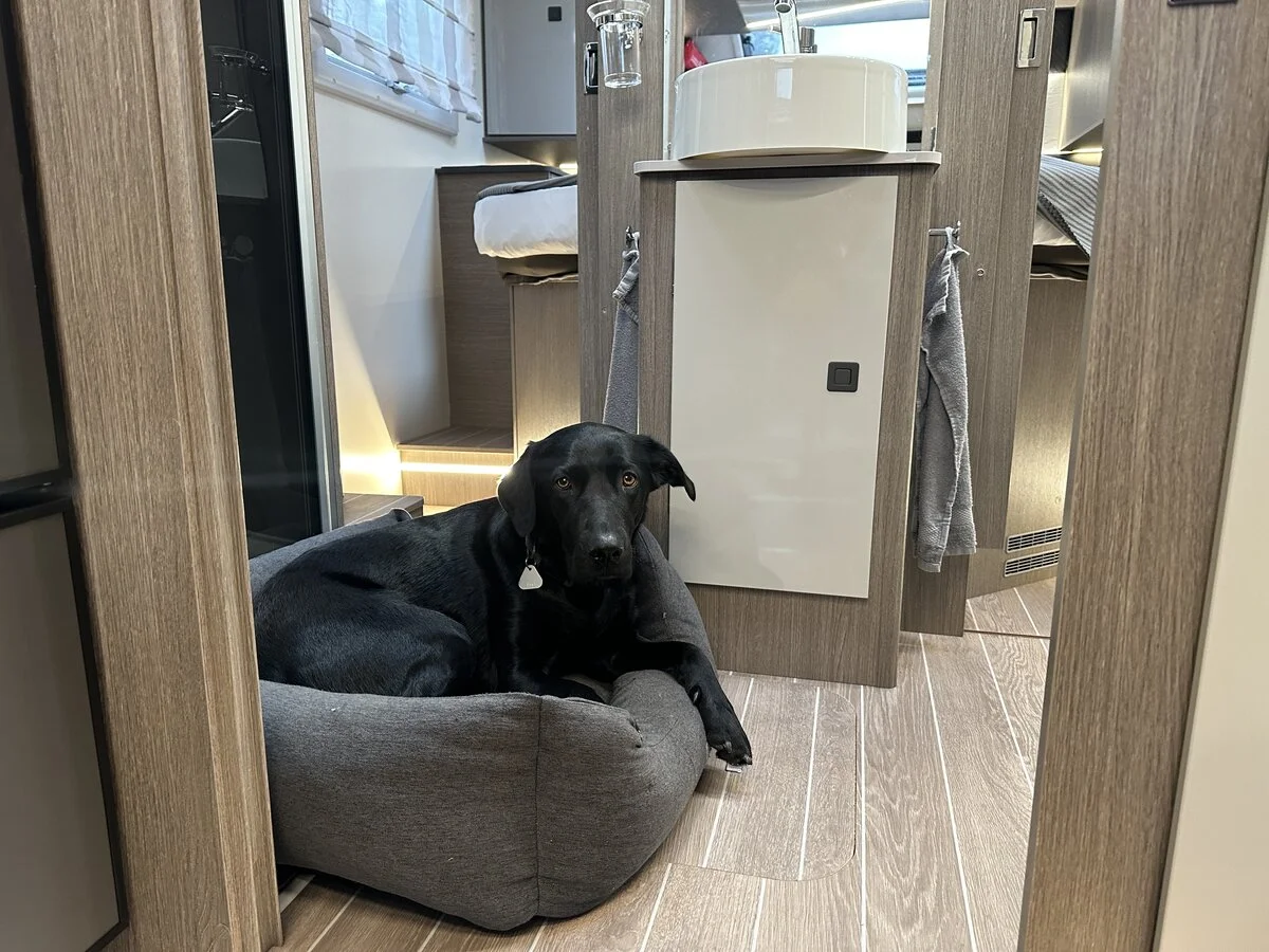 Hund im Wohnmobil Reiseglück